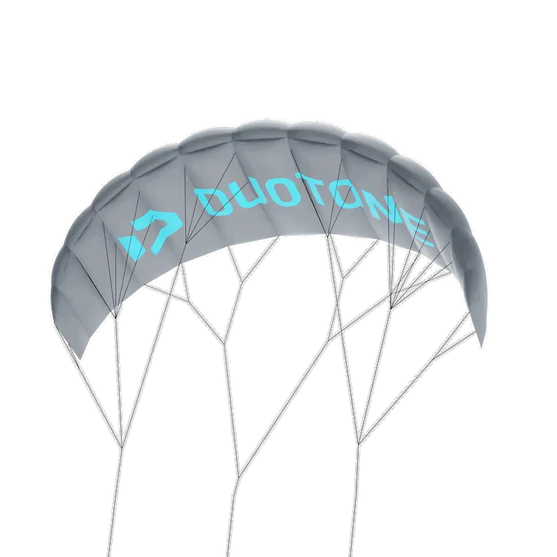 Duotone Trainerkite Lizard without leash